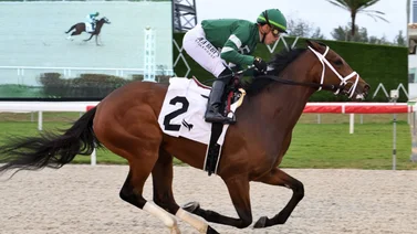 Así quedaron los resultados de las carreras de Gulfstream Park 11-01-2024