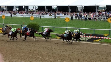 ¿Sabes cuánto costará la remodelación del hipódromo de Pimlico? Entérate aquí