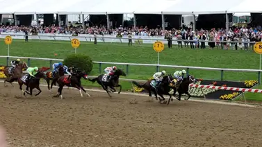 ¿Sabes cuánto costará la remodelación del hipódromo de Pimlico? Entérate aquí ¿Sabes cuánto costará la remodelación del hipódromo de Pimlico? Entérate aquí