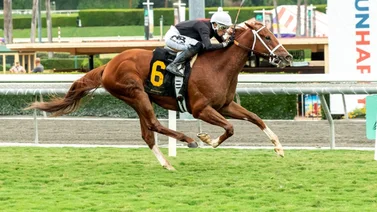 Santa Anita presenta su serie de stakes de la California Cup este sábado