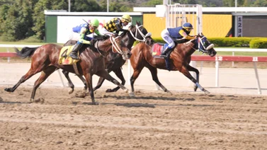 Nieto del primer caballo venezolano que ganó un Stakes en Estados Unidos logra el mejor ajuste del miércoles en La Rinconada