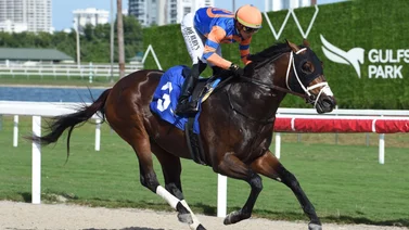 Así quedaron los resultados de las carreras de Gulfstream Park 12-01-24