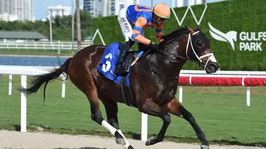 Así quedaron los resultados de las carreras de Gulfstream Park 12-01-24 Así quedaron los resultados de las carreras de Gulfstream Park 12-01-24