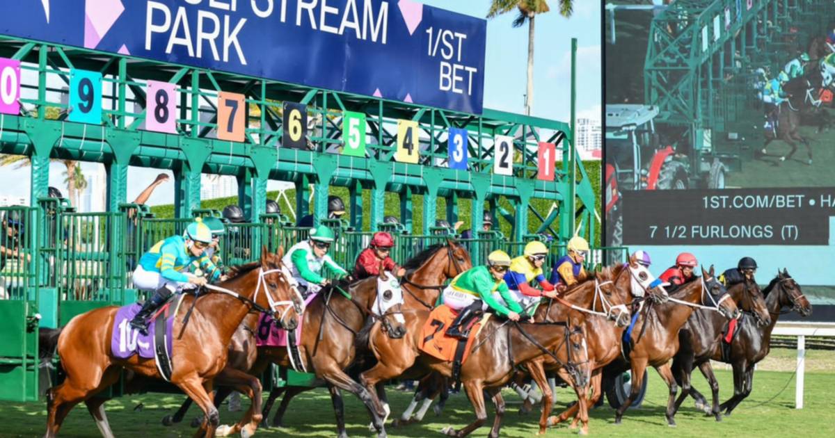 Aquí el fijo y los datos para jugar el Pick Six Gulfstream Park 13012024
