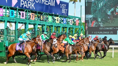 Aquí el fijo y los datos para jugar el Pick Six Gulfstream Park 13-01-2024