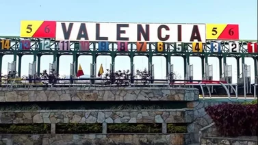 Estos son los retirados del Hipódromo de Valencia 13-01-2024
