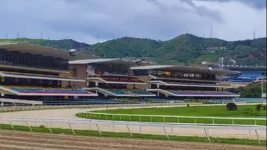 Datos de Última Hora para el Hipódromo La Rinconada 14-01-2024 Datos de Última Hora para el Hipódromo La Rinconada 14-01-2024