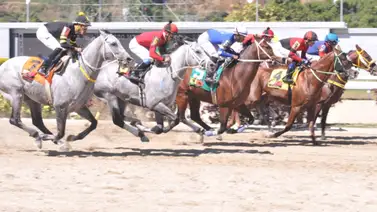 Aquí están los favoritos de la cátedra para el 5y6 Nacional de la reunión 1 de 2024 en La Rinconada Aquí están los favoritos de la cátedra para el 5y6 Nacional de la reunión 1 de 2024 en La Rinconada