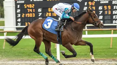Jinetes venezolanos arrasan en los stakes sabatinos de Tampa Bay Downs Jinetes venezolanos arrasan en los stakes sabatinos de Tampa Bay Downs
