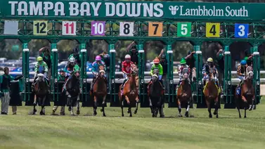 Estos entrenadores venezolanos se toman la foto de la victoria en Tampa Bay Downs Estos entrenadores venezolanos se toman la foto de la victoria en Tampa Bay Downs