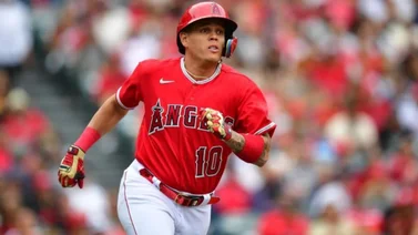 LIDOM: ¡Incorporación de lujo! Tigres del Licey recibirá a grandeliga colombiano (+Video)