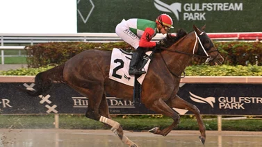 Así quedaron los resultados de las carreras de Gulfstream Park 14-01-24