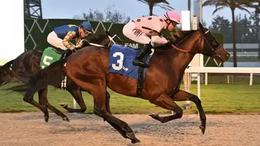 Junior Alvarado mete dos batacazos en Gulfstream Park que no vas a creer lo que pagaron Junior Alvarado mete dos batacazos en Gulfstream Park que no vas a creer lo que pagaron