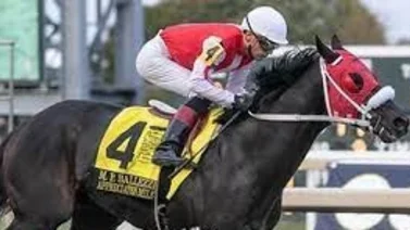 Jockey venezolano se luce con trío de victorias en este hipódromo de Estados Unidos