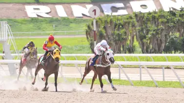 Esto informó Jean Carlos Rodríguez sobre la yegua Brianna Esto informó Jean Carlos Rodríguez sobre la yegua Brianna