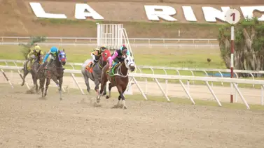 Esto fue lo que dijo Jaime Lugo sobre el ejemplar Ajilado Esto fue lo que dijo Jaime Lugo sobre el ejemplar Ajilado