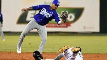 LIDOM: Mira el peor registro de Tigres del Licey en el Round Robin 2023-24