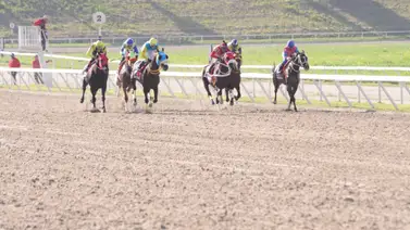 Mira lo que ocurrió con Abuelo Yeye según el informe de su jinete Mira lo que ocurrió con Abuelo Yeye según el informe de su jinete