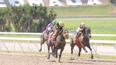 Esto dijo Johan Aranguren sobre el ejemplar Electronic Esto dijo Johan Aranguren sobre el ejemplar Electronic