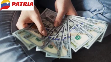 Patria Estos son los bonos activos y pagando este 15 de enero 
