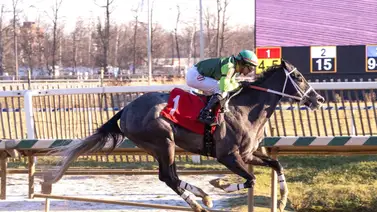 Conoce a los tres jinetes más ganadores en estos primeros días de 2024 en Estados Unidos, todos son puertorriqueños Conoce a los tres jinetes más ganadores en estos primeros días de 2024 en Estados Unidos, todos son puertorriqueños