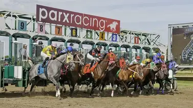 Dos hipódromos de Estados Unidos suspenden programa del lunes por esta causa Dos hipódromos de Estados Unidos suspenden programa del lunes por esta causa