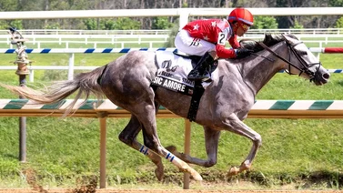 Jockey de Puerto Rico revienta la taquilla en este hipódromo de Estados Unidos