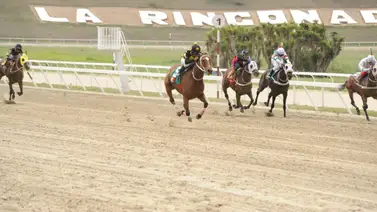 La segunda reunión del año en La Rinconada tiene diez carreras La segunda reunión del año en La Rinconada tiene diez carreras