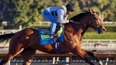 Conoce el candente trabajo que hizo el ganador del Preakness 2023