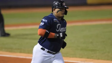 LVBP: Yermín Mercedes es una excepción en la ofensiva de Tigres de Aragua (+detalles)