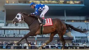 Conoce como quedan los contendores en la Pegasus World Cup Conoce como quedan los contendores en la Pegasus World Cup