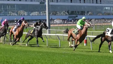 La ola de frío hace cancelar las carreras este martes en estos hipódromos de Estados Unidos La ola de frío hace cancelar las carreras este martes en estos hipódromos de Estados Unidos