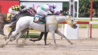 Juan Carlos García vuelve a la pista de La Rinconada a tordilla que tiene 175 días sin correr Juan Carlos García vuelve a la pista de La Rinconada a tordilla que tiene 175 días sin correr