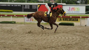 Caballo de ocho años vuelve a la pista de La Rinconada después de 196 días sin competir