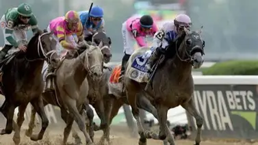 Campeón tresañero de 2023 en Estados Unidos fue operado y este es el resultado Campeón tresañero de 2023 en Estados Unidos fue operado y este es el resultado