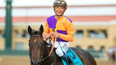 Esto dice Richard Mandella sobre el regreso de Tamara a las carreras Esto dice Richard Mandella sobre el regreso de Tamara a las carreras