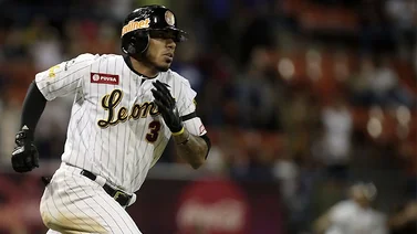 LVBP: Así se prepara Harold Castro para el encuentro ante Bravos de Margarita (+Video)