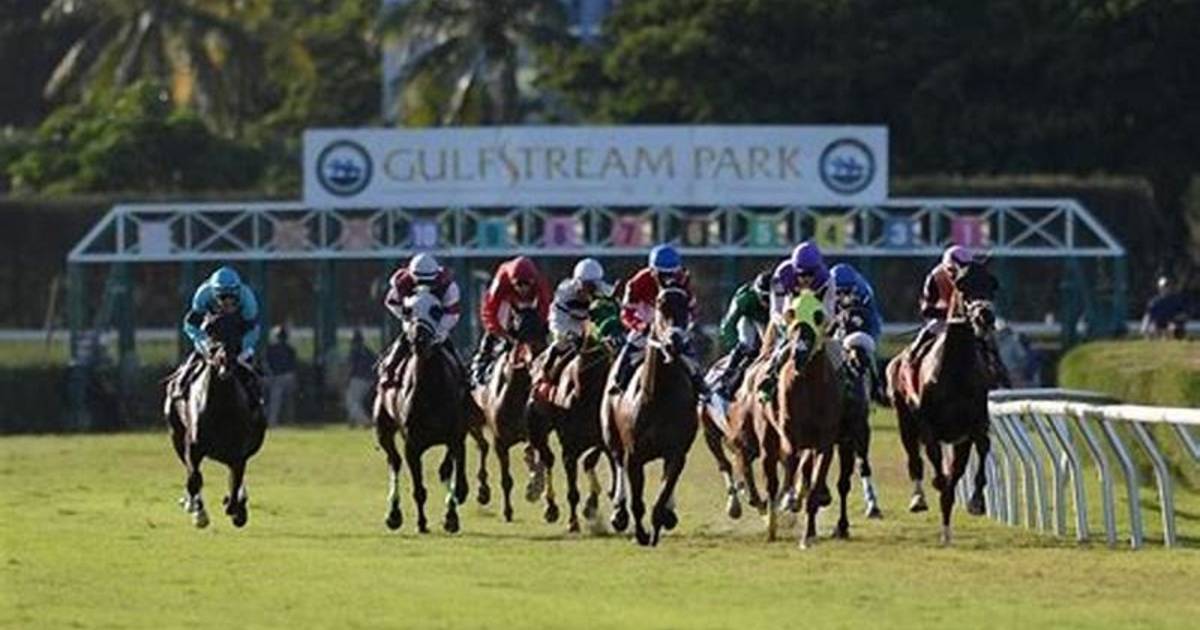 Aquí el fijo y los datos para jugar el Pick Six Gulfstream Park 17012024