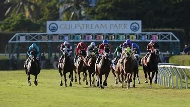 Aquí el fijo y los datos para jugar el Pick Six Gulfstream Park 17-01-2024