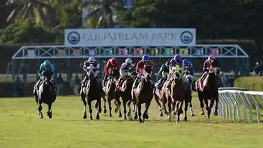 Aquí el fijo y los datos para jugar el Pick Six Gulfstream Park 17-01-2024 Aquí el fijo y los datos para jugar el Pick Six Gulfstream Park 17-01-2024