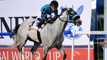 EEste entrenador venezolano puede estar en la Golden Shaheen (G1) de Dubai