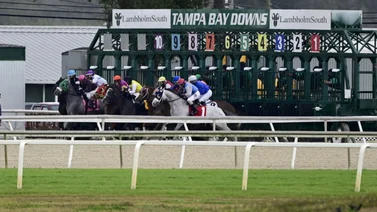 Aquí el fijo y los datos para jugar el Pick Six Tampa Bay Downs 17-01-2024