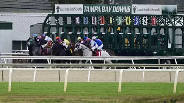 Aquí el fijo y los datos para jugar el Pick Six Tampa Bay Downs 17-01-2024 Aquí el fijo y los datos para jugar el Pick Six Tampa Bay Downs 17-01-2024