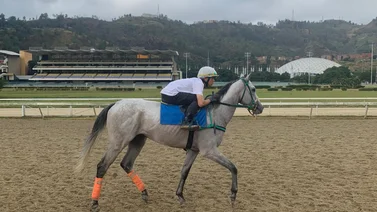 Aprendiz debuta este domingo en La Rinconada (+Video)