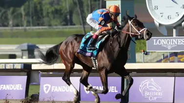 Conoce los 12 potros mejor cotizados para el Kentucky Derby de 2024 Conoce los 12 potros mejor cotizados para el Kentucky Derby de 2024