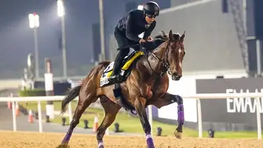 Purasangre que derrotó al campeón Equinox va por los Grado 1 de Europa Purasangre que derrotó al campeón Equinox va por los Grado 1 de Europa