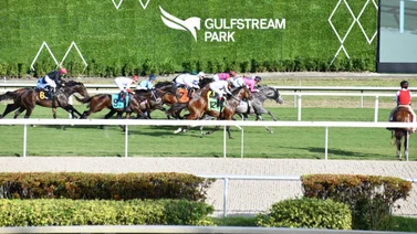 Así quedaron los resultados de las carreras de Gulfstream Park 17-01-2024
