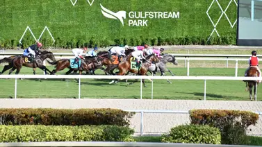 Así quedaron los resultados de las carreras de Gulfstream Park 17-01-2024 Así quedaron los resultados de las carreras de Gulfstream Park 17-01-2024