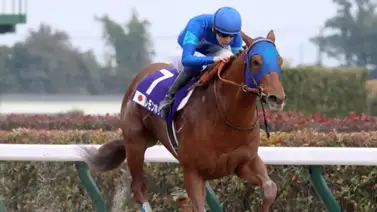 Ganador clásico japonés estará presente en la carrera más rica del mundo Ganador clásico japonés estará presente en la carrera más rica del mundo
