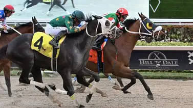 Javier Castellano le gana esta gran carrera a Irad Ortiz Jr. en Gulfstream Park Javier Castellano le gana esta gran carrera a Irad Ortiz Jr. en Gulfstream Park